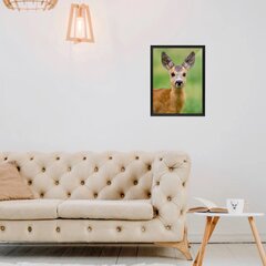 Seinäjuliste pieni peura - Eläinaiheinen sisustus lastenhuoneeseen - 40 x 27 cm hinta ja tiedot | Sisustustarrat | hobbyhall.fi