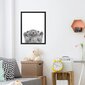 Kissanpentu seinäjuliste - Eläinhahmot sisustuksessa - Lastenhuoneen koristelu - 40 x 27 cm hinta ja tiedot | Sisustustarrat | hobbyhall.fi