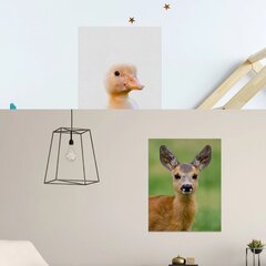 Seinäkangas pieni peura Sisustus lastenhuoneeseen - 40 x 30 cm hinta ja tiedot | Sisustustarrat | hobbyhall.fi
