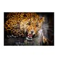 Valokuvatapetti villistä tiikeristä Eläintapetit Lastenhuoneen sisustus - 390 x 280 cm hinta ja tiedot | Sisustustarrat | hobbyhall.fi