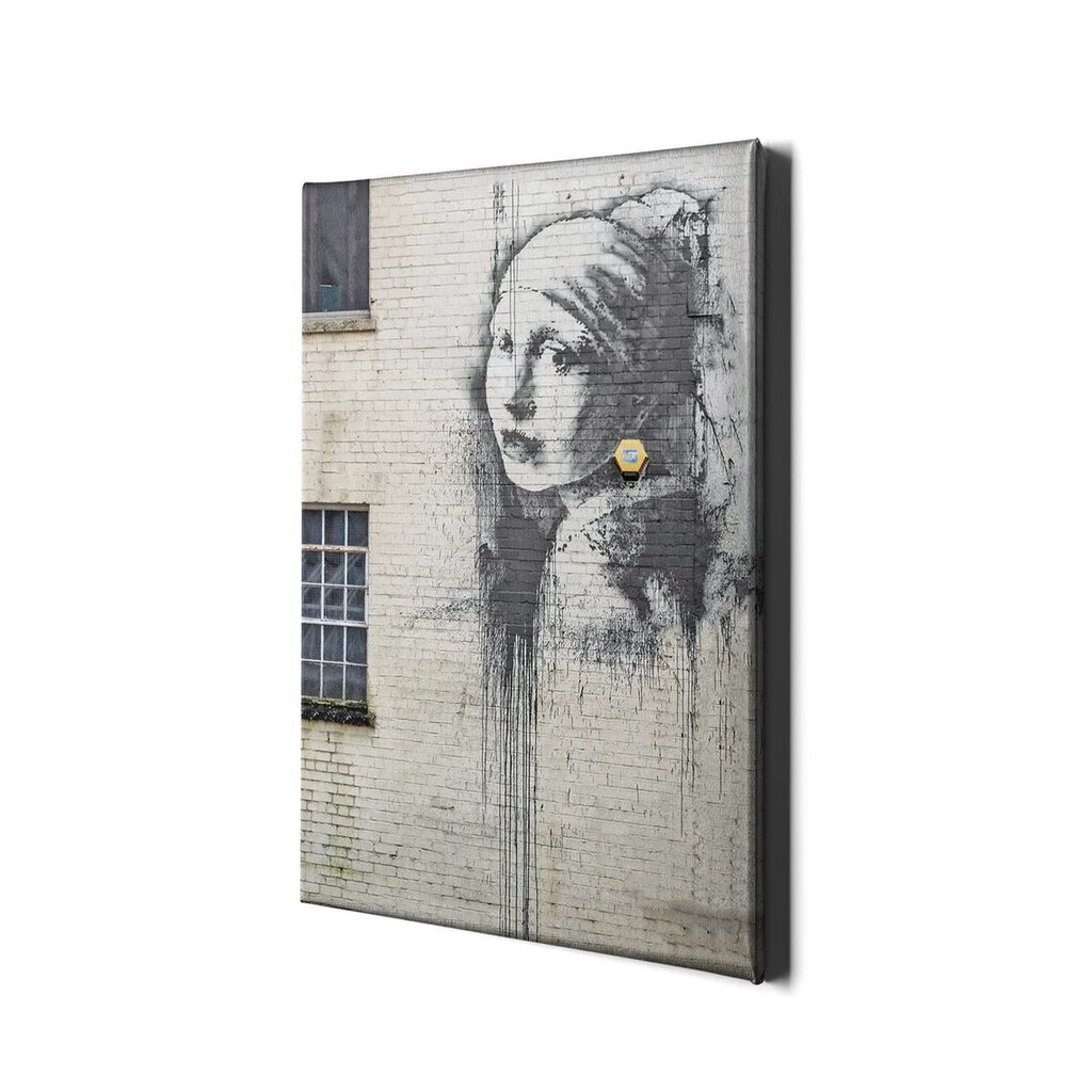 Seinäkangas Banksy-tyyliin: Tyttö helmi korvassa, tyylikäs sisustuselementti - 60 x 40 cm hinta ja tiedot | Sisustustarrat | hobbyhall.fi