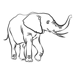 Vinyyli seinätarra Söpö elefantti Safari sisustus - 140 x 101 cm hinta ja tiedot | Sisustustarrat | hobbyhall.fi