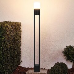 Kingwen LED-lamppu, lyhty, 10W, 3000K, IP65, 100cm, musta hinta ja tiedot | Puutarha- ja ulkovalot | hobbyhall.fi