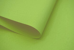 Rullaverho - Dekor 110x170 cm, d-11 vihreä hinta ja tiedot | Rullaverhot | hobbyhall.fi