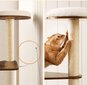 Kissan raapimispylväs, ruskeanvalkoinen, 58 x 40 x 165 cm. hinta ja tiedot | Raapimispuut ja kiipeilypuut | hobbyhall.fi