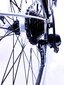Naisten polkupyörä Kands Galileo, 167-185 cm, 28" alumiinivanteet, Shimano, Valkoinen hinta ja tiedot | Polkupyörät | hobbyhall.fi