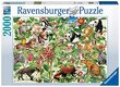 Ravensburger Jungle 2000 Piece Jigsaw Puzzles Aikuisille ja 12 -vuotiaille lapsille hinta ja tiedot | Palapelit | hobbyhall.fi