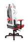 Pelituoli, DXRacer Air R1S-WRNG, musta/valkoinen/harmaa/punainen hinta ja tiedot | Toimistotuolit | hobbyhall.fi