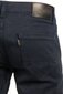 Farkut BLK JEANS hinta ja tiedot | Miesten farkut | hobbyhall.fi