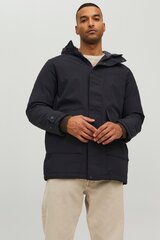 Talvitakki JACK &amp; JONES hinta ja tiedot | Miesten ulkoilutakit | hobbyhall.fi