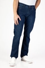 Farkut BLK JEANS hinta ja tiedot | Miesten housut | hobbyhall.fi