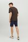 Kangasshortsit JACK &amp; JONES hinta ja tiedot | Miesten shortsit | hobbyhall.fi