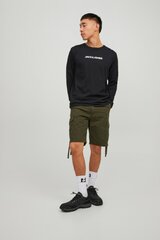 Kangasshortsit JACK &amp; JONES hinta ja tiedot | Miesten shortsit | hobbyhall.fi