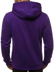 Miesten hupullinen huppari violetti Buvoli JS/2009-51458-L hinta ja tiedot | Miesten puserot ja hupparit | hobbyhall.fi