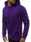 Miesten hupullinen huppari violetti Buvoli JS/2009-51458-L hinta ja tiedot | Miesten puserot ja hupparit | hobbyhall.fi