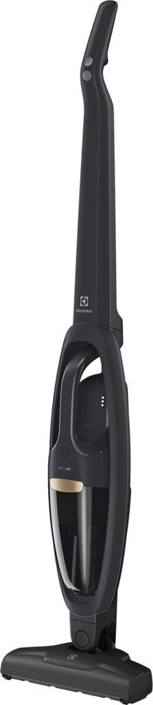 Electrolux WQ61-42GG hinta ja tiedot | Varsi-imurit | hobbyhall.fi