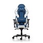 Tuoli DXRacer Gladiator, sininen hinta ja tiedot | Toimistotuolit | hobbyhall.fi