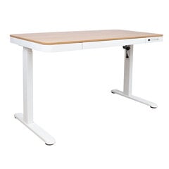Työpöytä ERGO 1 moottorilla 120 x 60 x H 72-121 cm, valkoinen/tammi hinta ja tiedot | Tietokonepöydät ja työpöydät | hobbyhall.fi
