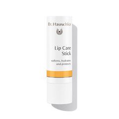 Dr. Hauschka Lip Care huulibalsami 4,9 g hinta ja tiedot | Huulipunat, huulikiillot ja huulirasvat | hobbyhall.fi