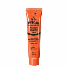 Hoitoaine Dr. PawPaw Outrageous Orange 25 ml hinta ja tiedot | Dr. PawPaw Hajuvedet ja kosmetiikka | hobbyhall.fi