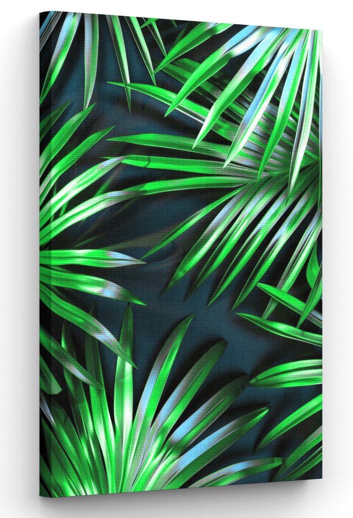 Taulu Palmtree Leaf hinta ja tiedot | Taulut | hobbyhall.fi