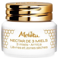 Huulivoide Melvita Nectar de 3 Miels Arnica 8 g hinta ja tiedot | Huulipunat, huulikiillot ja huulirasvat | hobbyhall.fi