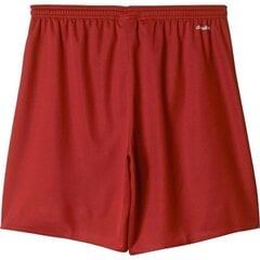 Parma 16 short adidas performance miehet red aj5881 hinta ja tiedot | Miesten shortsit | hobbyhall.fi