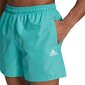 Solid clx sh sl adidas performance miehet blue gq1080 hinta ja tiedot | Miesten uimahousut ja -shortsit | hobbyhall.fi