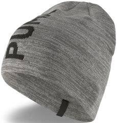 Ess classic cuffless beanie puma unisex harmaa 02343305 hinta ja tiedot | Miesten hatut, huivit ja käsineet | hobbyhall.fi