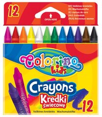 COLORINO, 12 kappaletta väriliituja hinta ja tiedot | Colorino Lapset | hobbyhall.fi