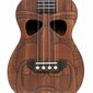 Stagg UC-TIKI MAIO Konsertti-ukulele hinta ja tiedot | Kitarat | hobbyhall.fi