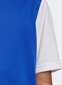 Verryttelypaita Adidas Estro 19 Jersey Junior, sininen, 176 cm hinta ja tiedot | Jalkapallovaatteet ja -varusteet | hobbyhall.fi