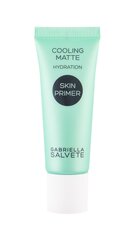 Gabriella Salvete Skin Primer Cooling Matte meikin pohjustusvoide 20 ml hinta ja tiedot | Meikkivoiteet ja puuterit | hobbyhall.fi