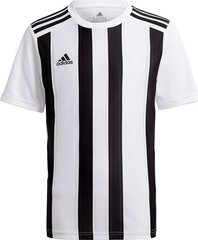 Jalkapallopaita Adidas STRIPED 21 JSY, valkoinen, S hinta ja tiedot | Jalkapallovaatteet ja -varusteet | hobbyhall.fi