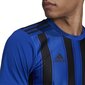 Jalkapallopaita Adidas STRIPED 21 JSY, sininen, S hinta ja tiedot | Jalkapallovaatteet ja -varusteet | hobbyhall.fi