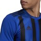 Jalkapallopaita Adidas STRIPED 21 JSY, sininen, M hinta ja tiedot | Jalkapallovaatteet ja -varusteet | hobbyhall.fi