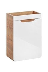 ARUBA WHITE Valkoisen värinen pesualtaan kaappi 40 cm x 60 cm x 22 cm hinta ja tiedot | Kylpyhuonekaapit | hobbyhall.fi