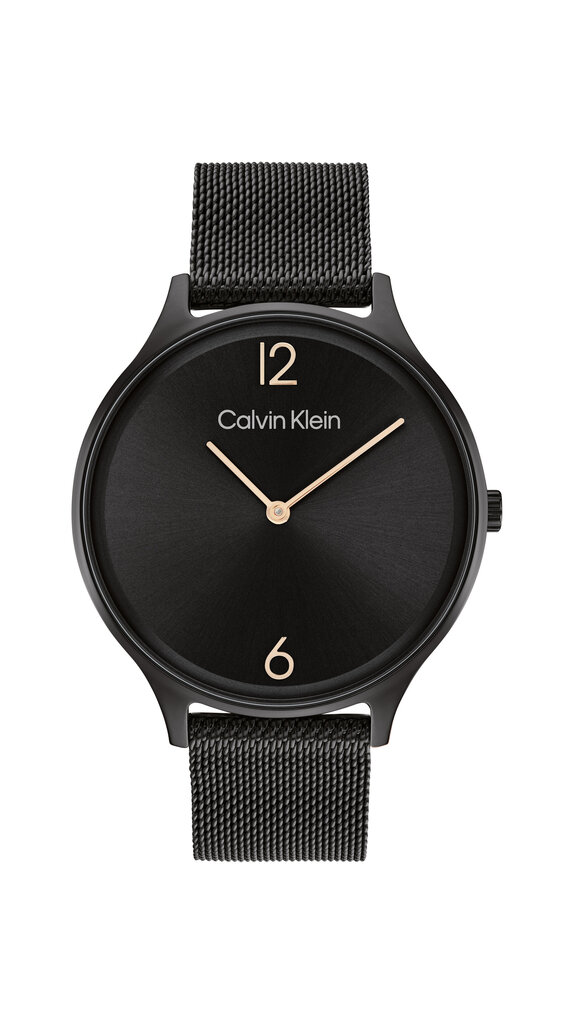 Naisten rannekello Calvin Klein Timeless 2H hinta ja tiedot | Naisten kellot | hobbyhall.fi