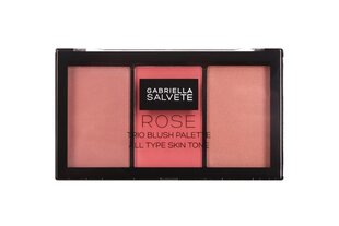 Gabriella Salvete Trio Blush Palette poskipuna 15 g, 02 Rose hinta ja tiedot | Aurinkopuuterit ja poskipunat | hobbyhall.fi