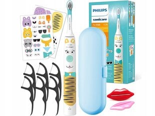 Philips Sonic sähköhammasharjasetti hinta ja tiedot | Sonicare Kodinkoneet ja kodinelektroniikka | hobbyhall.fi