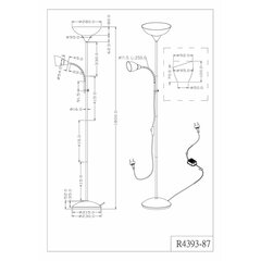 Lattiavalaisin Trio Erzwo R4393-87 hinta ja tiedot | Lattiavalaisimet | hobbyhall.fi