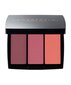 Poskipuna Anastasia Beverly Hills Blush Trio Berry Adore hinta ja tiedot | Aurinkopuuterit ja poskipunat | hobbyhall.fi