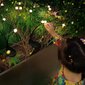 Aurinkokäyttöiset 3-in-1 puutarhalamput, asennettavat, seisovat ja riippuvat, XL-kokoiset hinta ja tiedot | Puutarha- ja ulkovalot | hobbyhall.fi