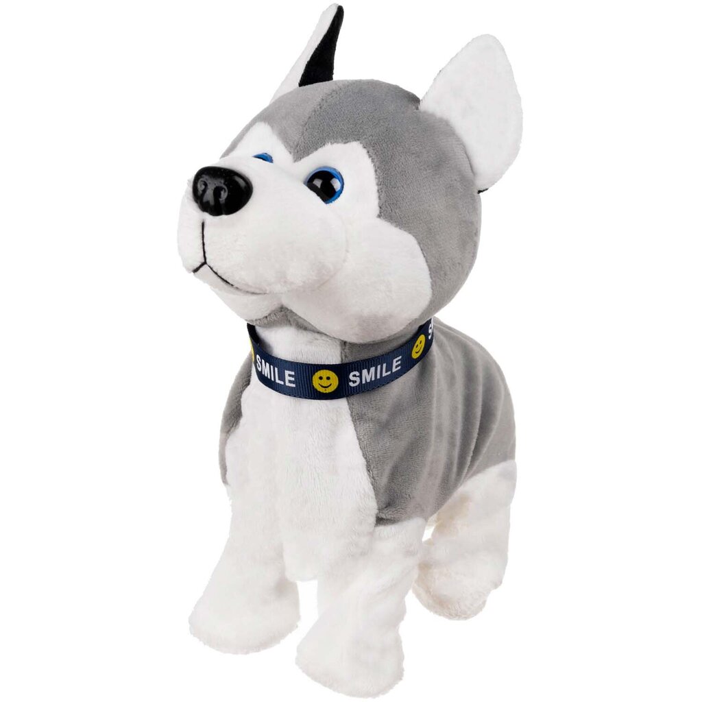 Interaktiivinen husky-koira reagoi kosketukseen hinta ja tiedot | Tyttöjen lelut | hobbyhall.fi