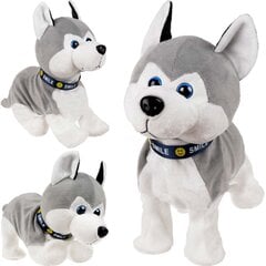 Interaktiivinen husky-koira reagoi kosketukseen hinta ja tiedot | Tyttöjen lelut | hobbyhall.fi