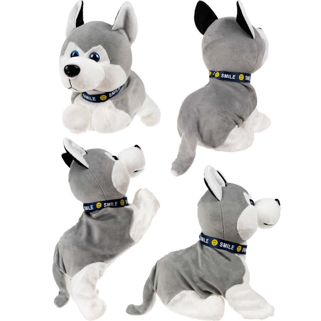 Interaktiivinen husky-koira reagoi kosketukseen hinta ja tiedot | Tyttöjen lelut | hobbyhall.fi