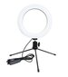 Selfie LED-valo + kolmijalka hinta ja tiedot | Valokuvaustarvikkeet | hobbyhall.fi