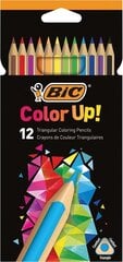 Color Up, 12 värin värikynäsetti 950527 hinta ja tiedot | Bic Lapset | hobbyhall.fi
