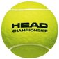 Head Championship 3 kpl tennispalloja hinta ja tiedot | Tennisvälineet | hobbyhall.fi