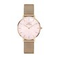 Daniel Wellington Petite 32 rannekello naisille hinta ja tiedot | Naisten kellot | hobbyhall.fi